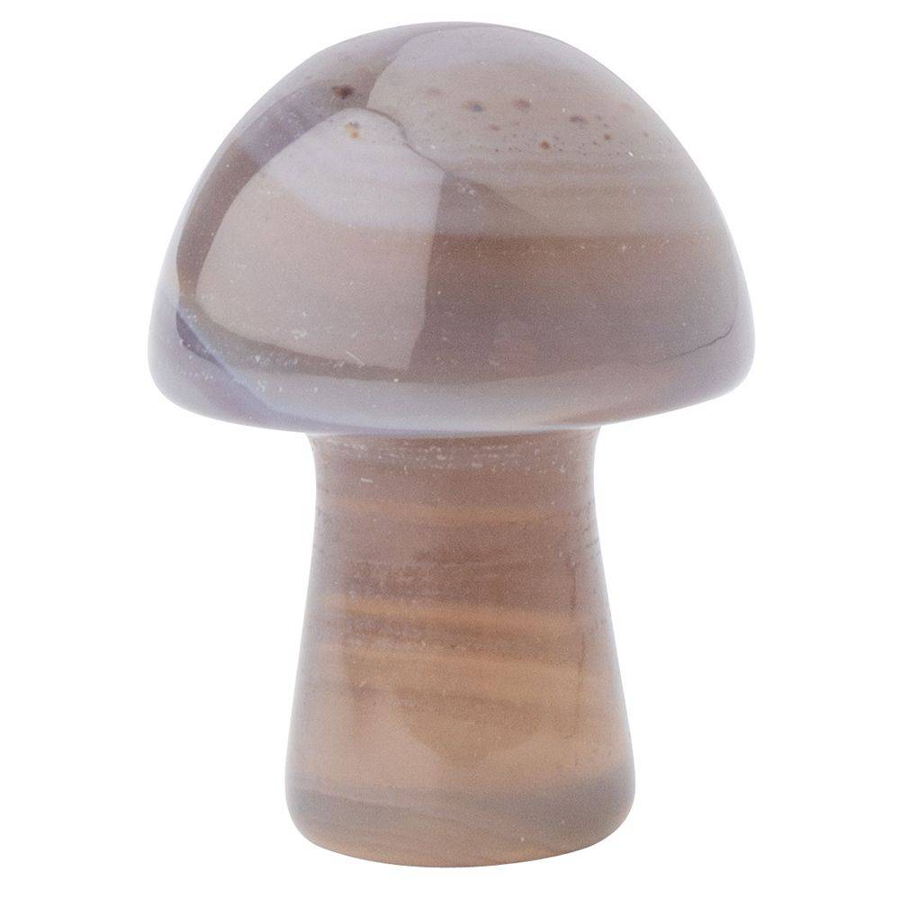 12 Assorted Gemstone Mushrooms - A Collection of Healing and Metaphysical Powers - Crystal Nest