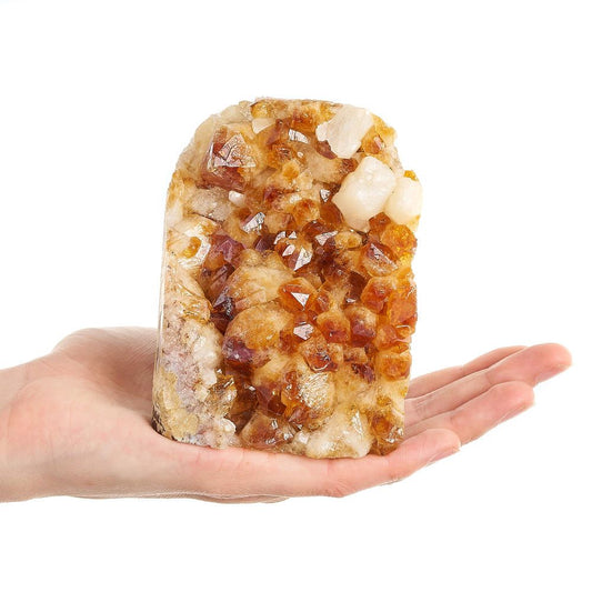 Citrine Crystal Druze Cut Base | Large - Crystal Nest