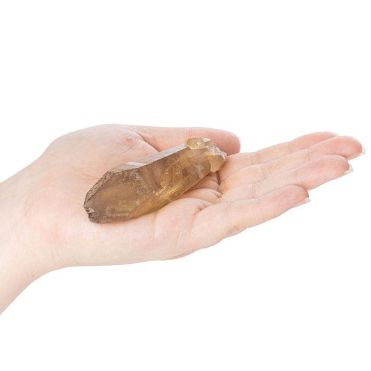 Natural Citrine Point - Crystal Nest