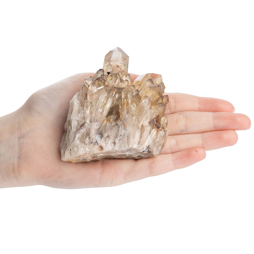 Natural Citrine Cluster - Crystal Nest