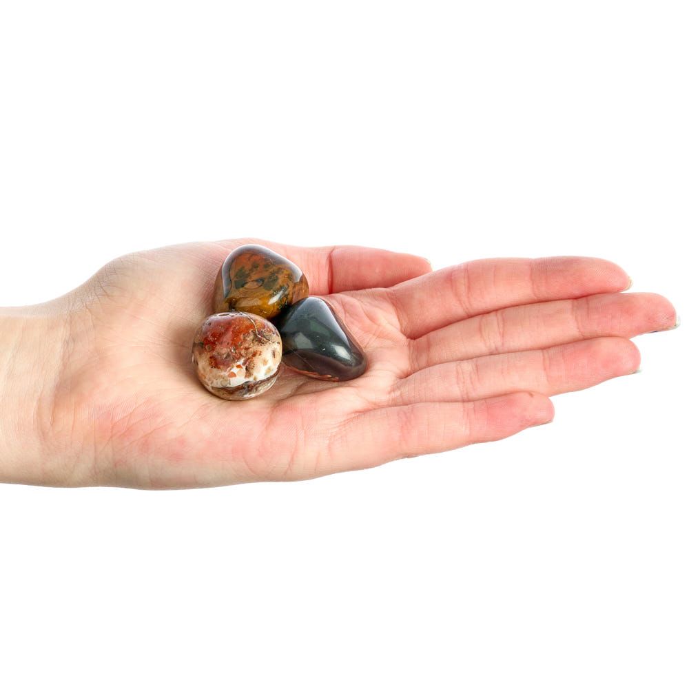 Sardonyx Tumblestone | Medium - Crystal Nest