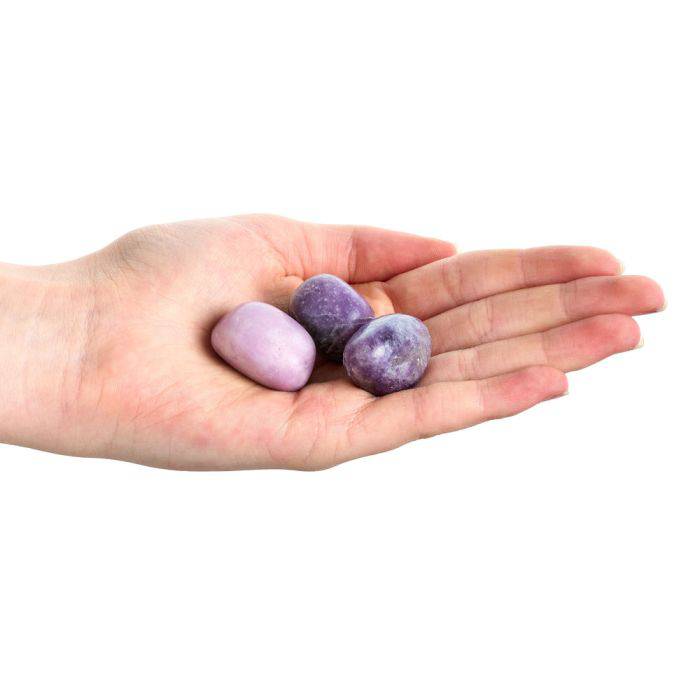 Lepidolite Tumblestone - Medium - Crystal Nest