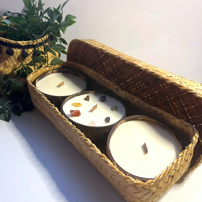 Coconut Shell Soy Candle Gift Set | Lavender, Apple Cinnamon & Meditation - Crystal Nest