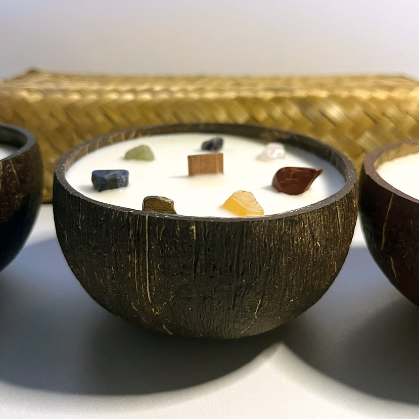 Coconut Shell Soy Candle Gift Set | Lavender, Apple Cinnamon & Meditation - Crystal Nest