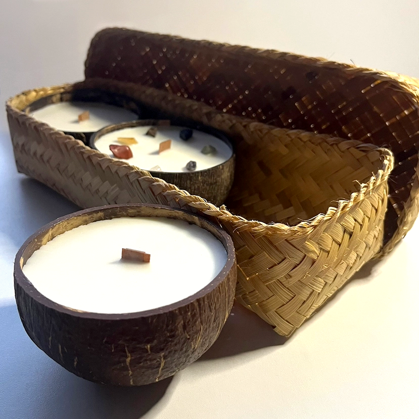 Coconut Shell Soy Candle Gift Set | Lavender, Apple Cinnamon & Meditation - Crystal Nest