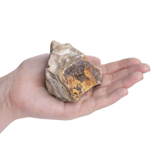 Crazy Lace Agate Raw Crystal | Large - Crystal Nest