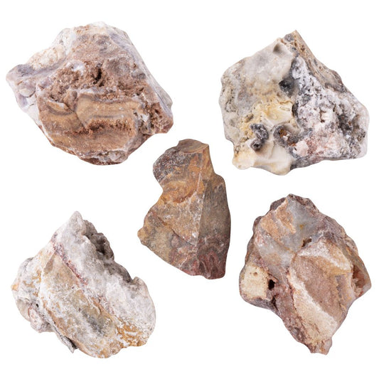 Crazy Lace Agate Raw Crystal | Large - Crystal Nest