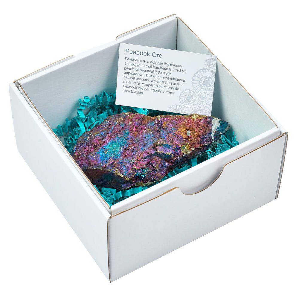 Rough Chalcopyrite Specimen - Small - Crystal Nest