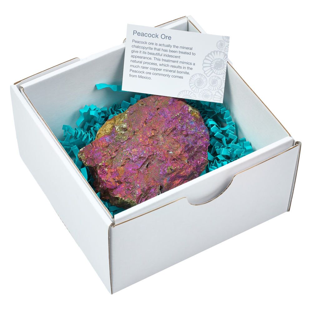 Rough Chalcopyrite Specimen - Medium - Crystal Nest
