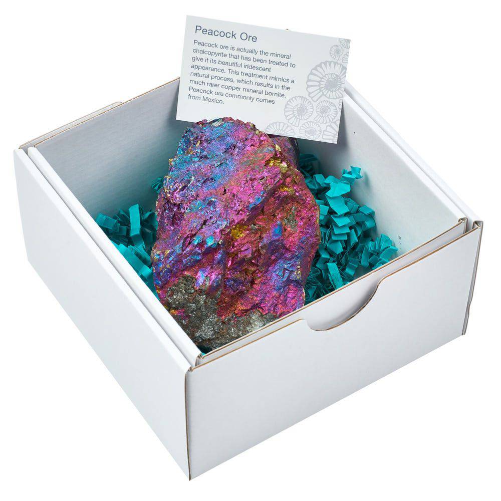 Rough Chalcopyrite Specimen - Large - Crystal Nest