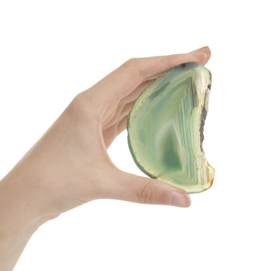 Green Agate Slice - Crystal Nest