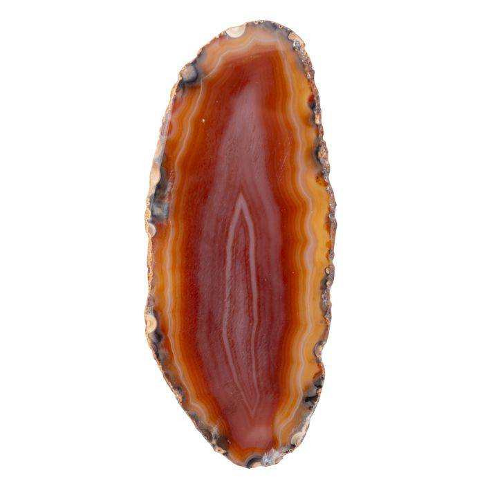 Red Agate Slice - Crystal Nest