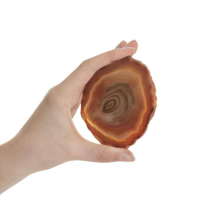 Red Agate Slice - Crystal Nest