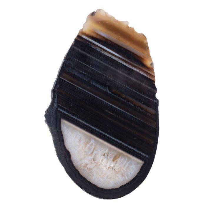 Black Agate Slice - Crystal Nest