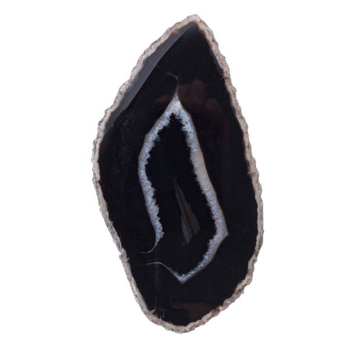 Black Agate Slice - Crystal Nest