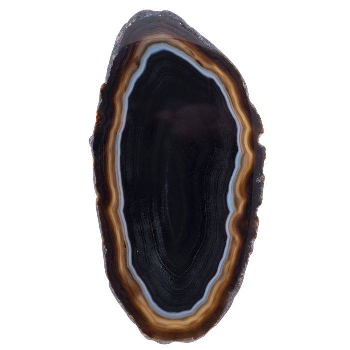 Black Agate Slice - Crystal Nest