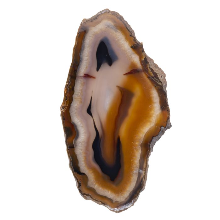 Natural Agate Slice - Crystal Nest