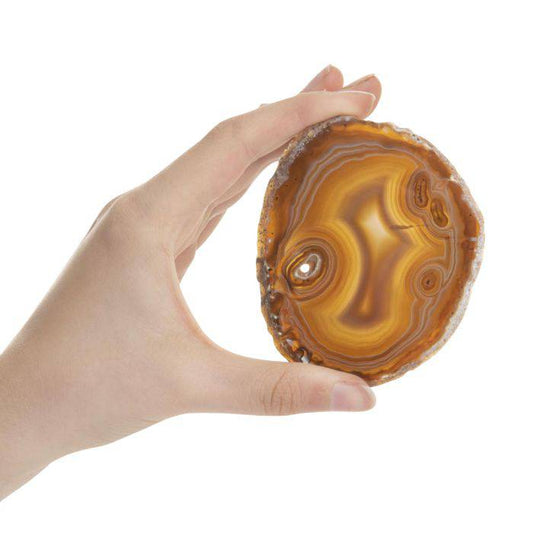 Natural Agate Slice - Crystal Nest