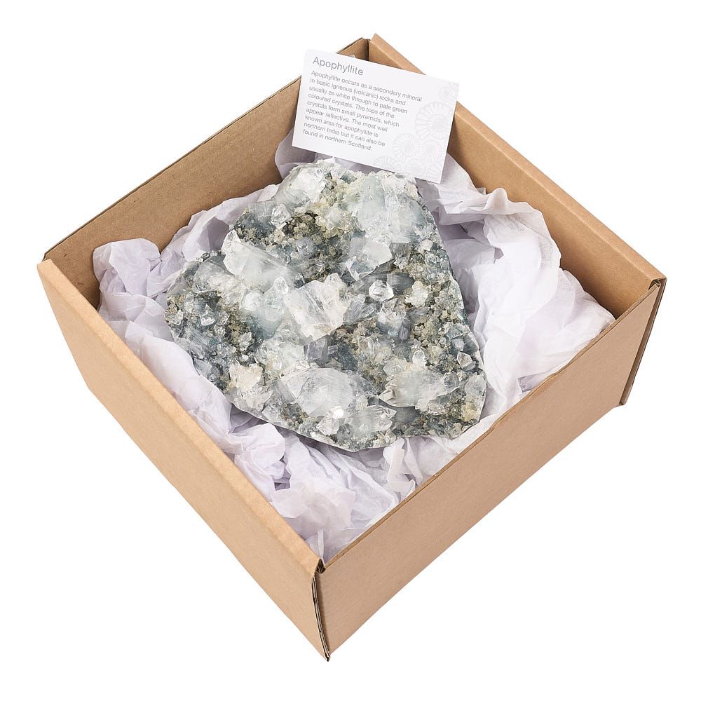 Apophyllite Crystal Cluster - Crystal Nest