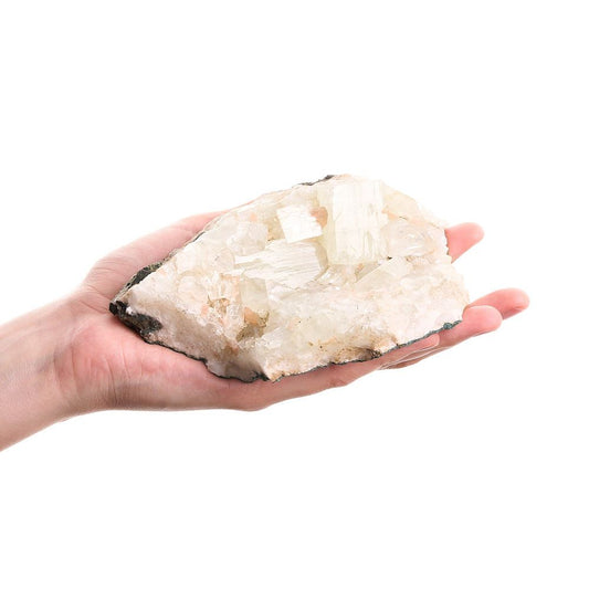 Apophyllite Crystal Cluster - Crystal Nest
