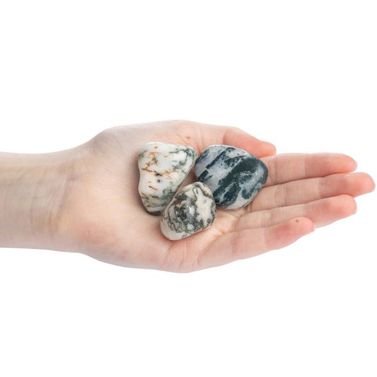 Tree Agate Tumblestone - Large - Crystal Nest