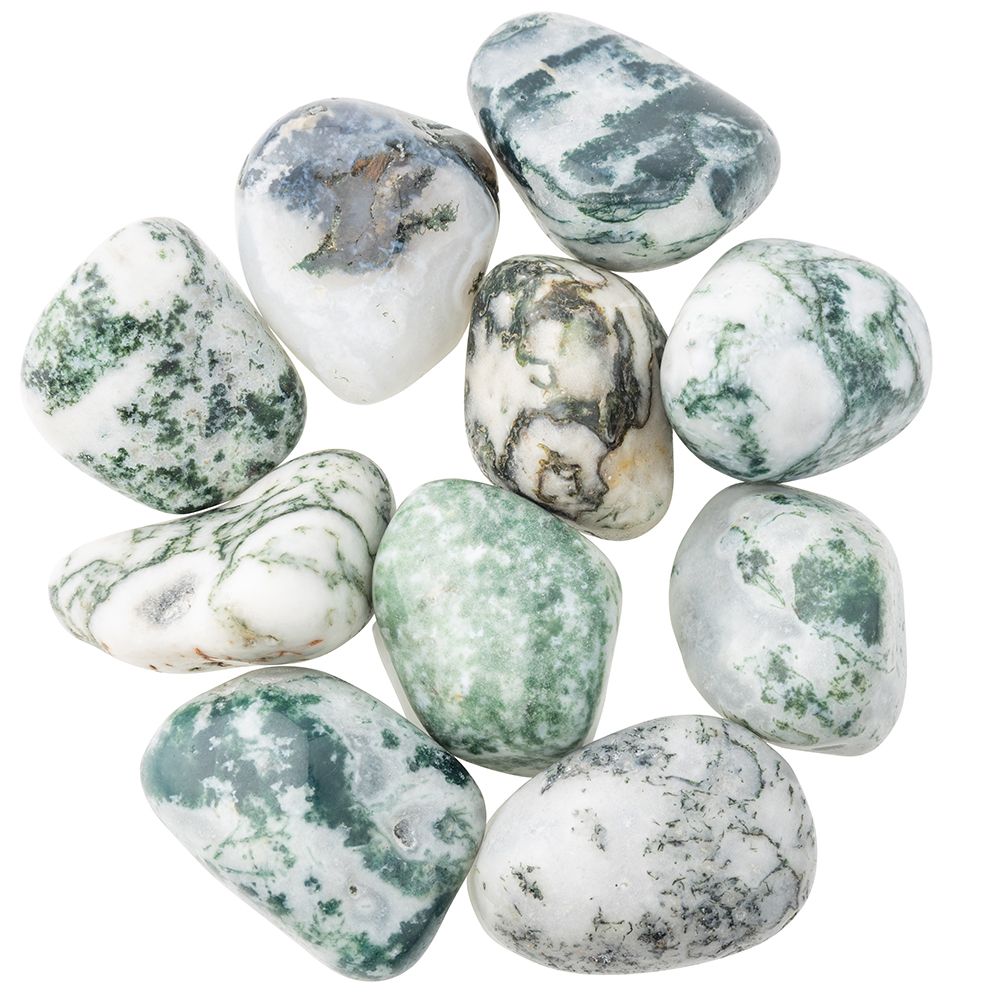 Tree Agate Tumblestone - Large - Crystal Nest
