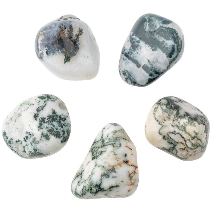 Tree Agate Tumblestone - Large - Crystal Nest