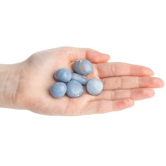 Angelite Tumblestone - Small - Crystal Nest