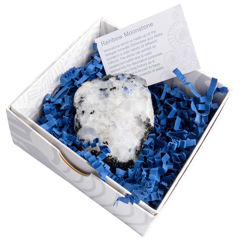 Rainbow Moonstone | One Sided Polished Crystal Cluster - Crystal Nest