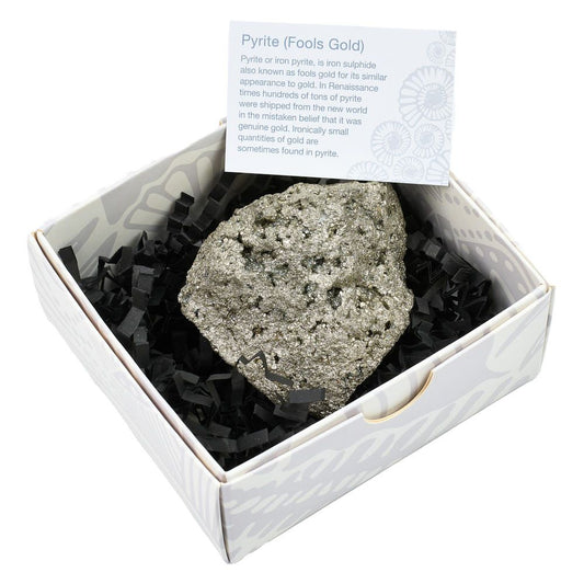 Pyrite Chispa Rough – Gift Boxed with ID Card - Crystal Nest