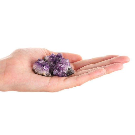 Mini Amethyst Cluster - Crystal Nest