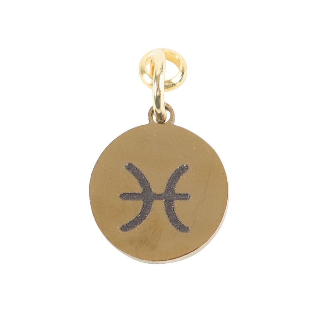 Pisces Gold Tone Zodiac Sign Charm - Crystal Nest