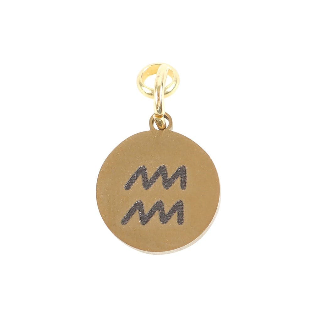 Aquarius Gold Tone Zodiac Sign Charm - Crystal Nest