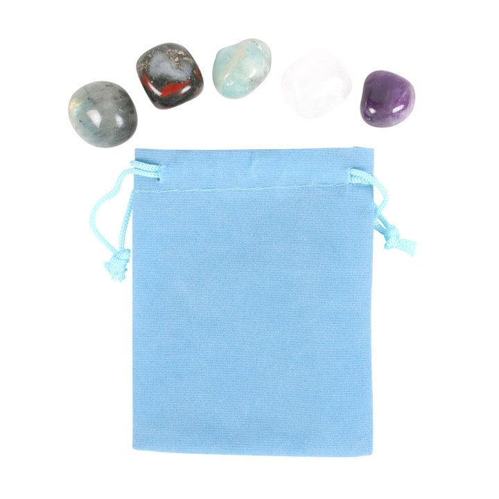 Pisces Zodiac Crystal Tumblestone Set - Crystal Nest