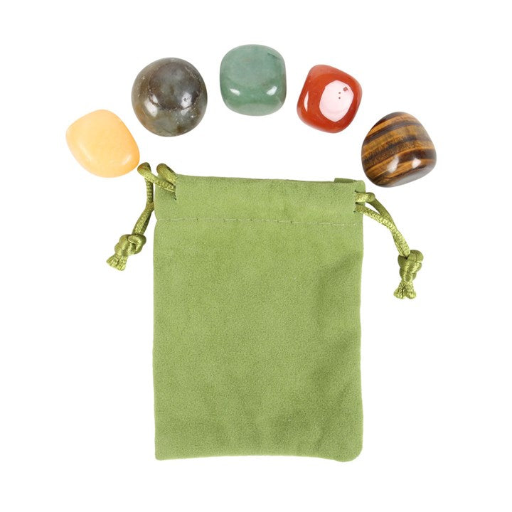 Leo Zodiac Crystal Tumblestone Set - Crystal Nest