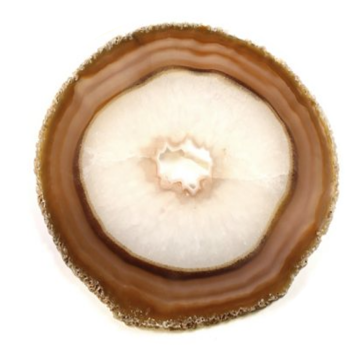 Banded Natural Agate Slice | 14–15 cm