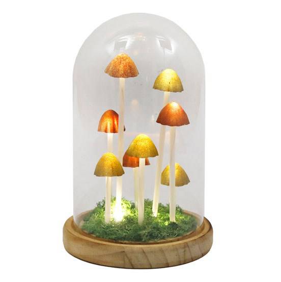 LED Glass Mushroom Dome Light - Crystal Nest