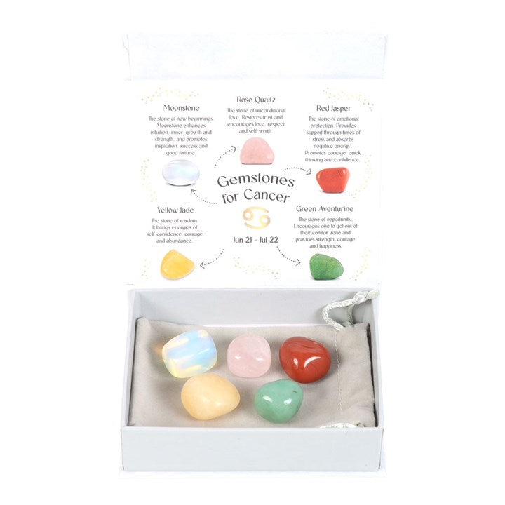 Cancer Zodiac Crystal Tumblestone Set - Crystal Nest