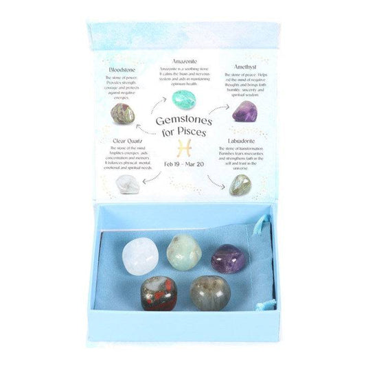 Pisces Zodiac Crystal Tumblestone Set - Crystal Nest