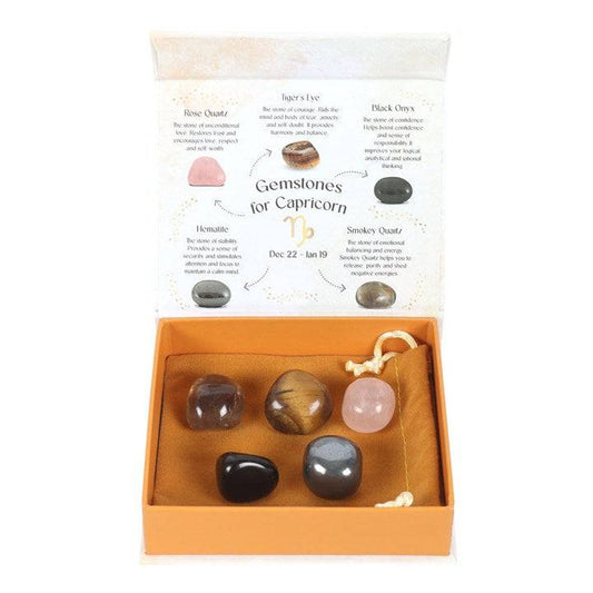 Capricorn Zodia Crystal Tumblestone Set - Crystal Nest