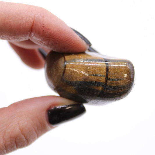 Variegated Tiger Eye Tumblestone - Medium - Crystal Nest