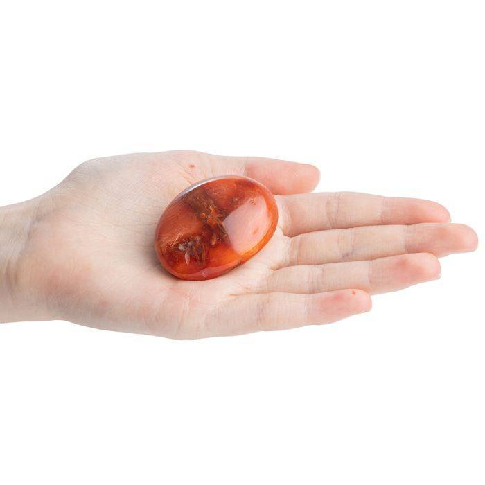 Carnelian Palmstone - Crystal Nest