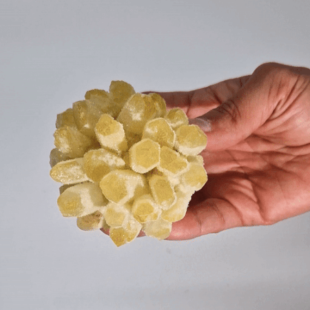 Yellow Ghost Quartz Cluster - Crystal Nest