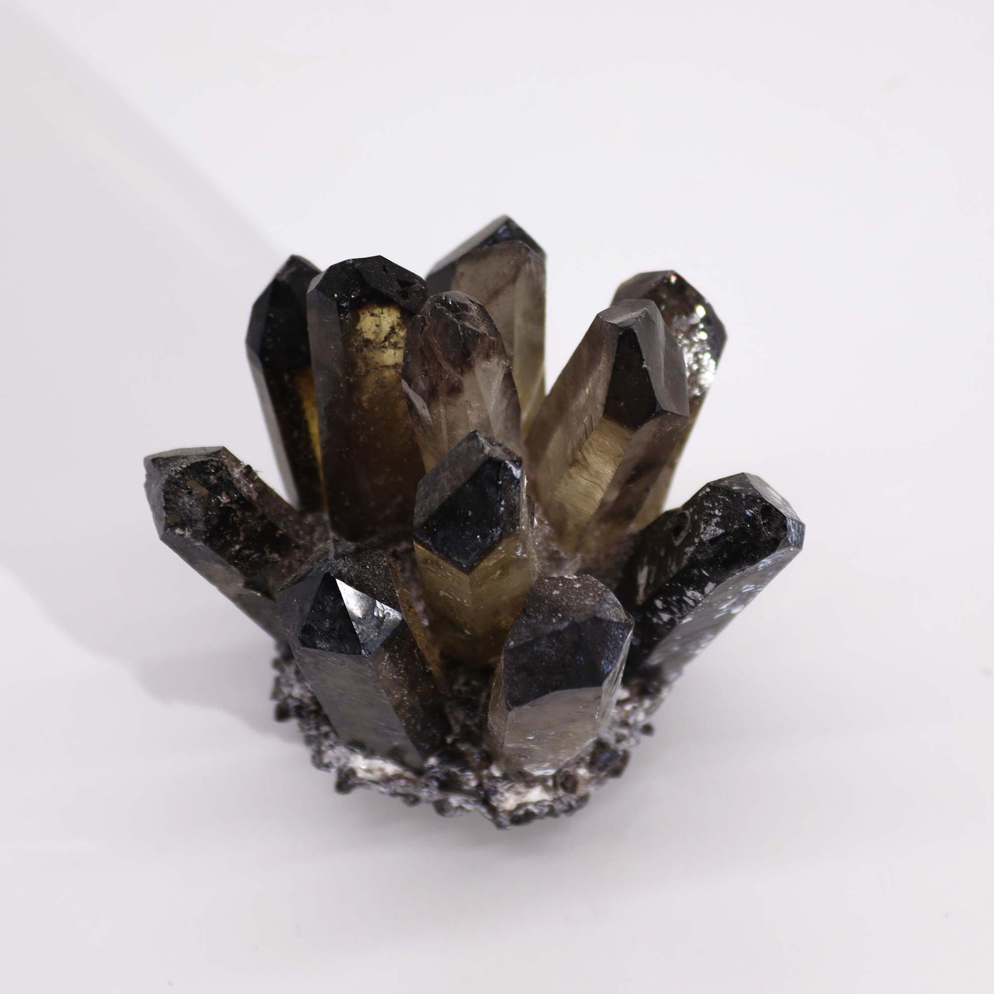Smoky Ghost Quartz Cluster - Crystal Nest