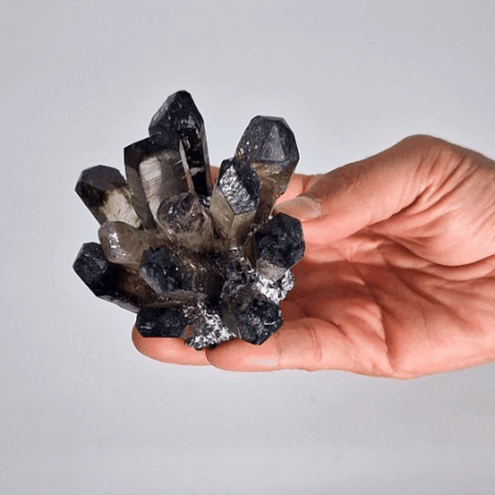 Smoky Ghost Quartz Cluster - Crystal Nest
