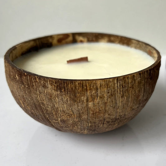 Coconut Shell Soy Candle | Assorted Scents - Crystal Nest