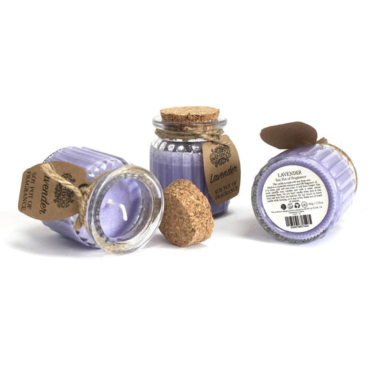 2 x Lavender Soy Pot Fragrance Candles - Crystal Nest