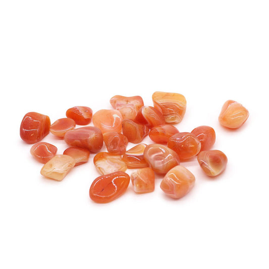 Carnelian Tumblestone - Medium - Crystal Nest