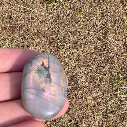 Sunset Purple Labradorite Palmstone - Crystal Nest