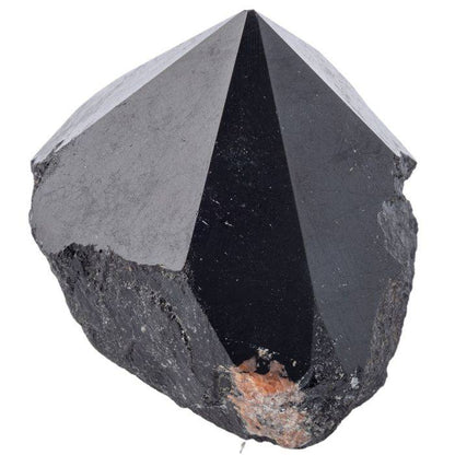 Black Tourmaline Polished Top Point - Crystal Nest